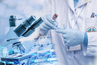 上海化妆品加工厂 如何通过基础软件服务提升生产效能与合规管理